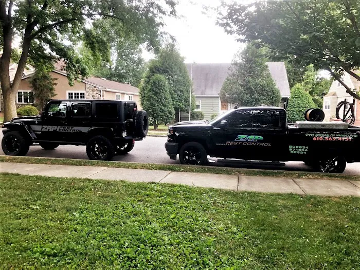 Zap Pest Control LLC Picture 4