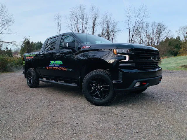 Zap Pest Control LLC Picture 6