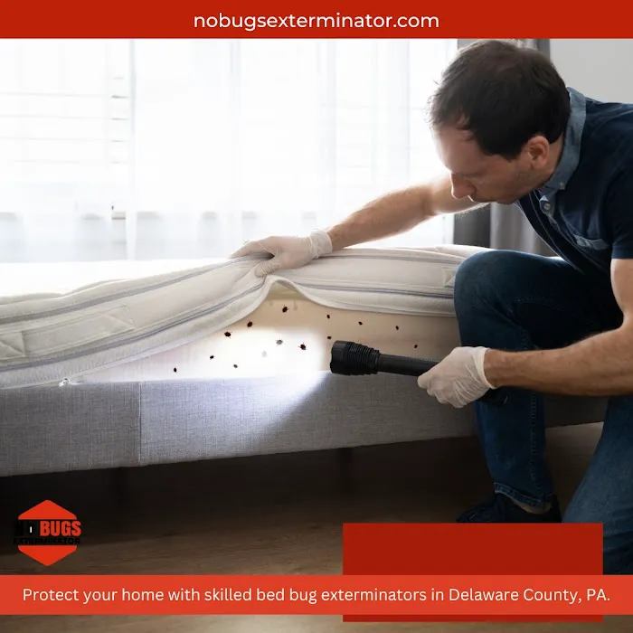 No Bugs Exterminator Picture 9