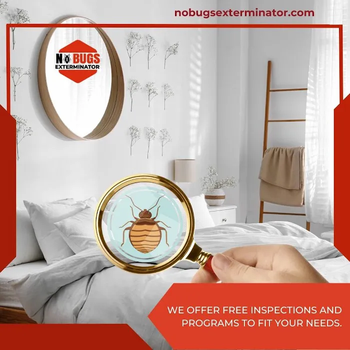 No Bugs Exterminator Picture 7