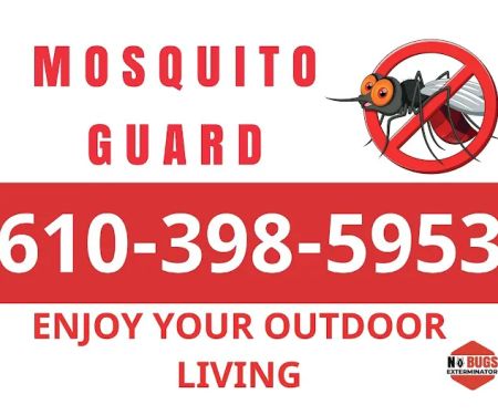 No Bugs Exterminator