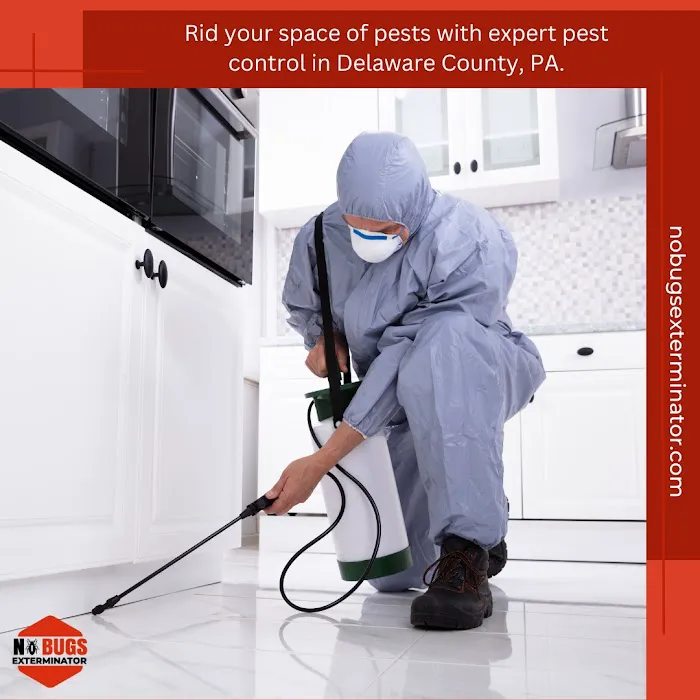 No Bugs Exterminator Picture 8