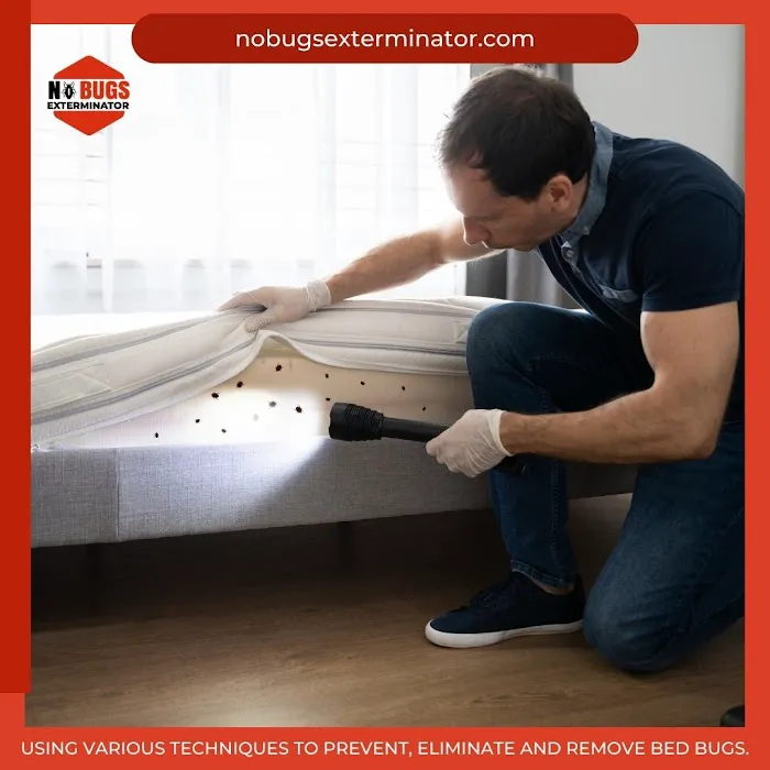 No Bugs Exterminator Picture 2