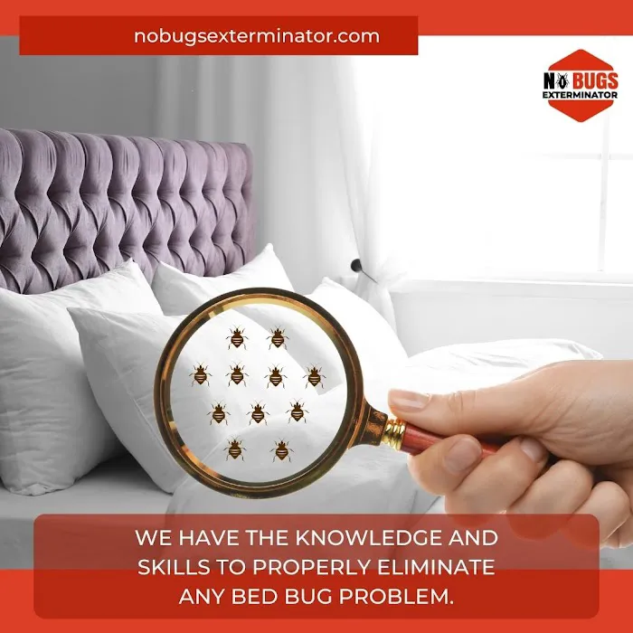 No Bugs Exterminator Picture 10