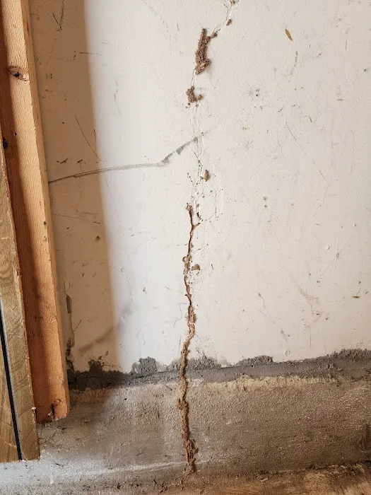 Royal Termite Control Inc Picture 6