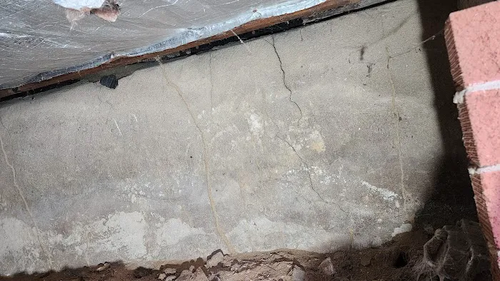 Royal Termite Control Inc Picture 5