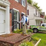 Green Pest Management