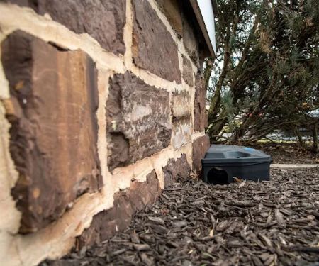 Moyer Indoor Outdoor - Services You Can Count On