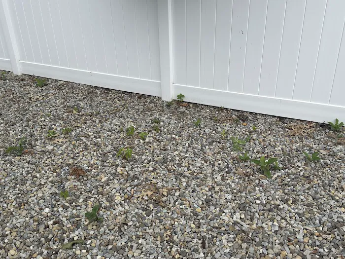 South Jersey Weed Control Picture 4