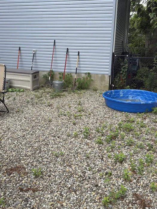 South Jersey Weed Control Picture 5