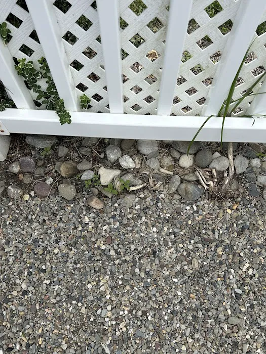South Jersey Weed Control Picture 1
