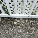 South Jersey Weed Control
