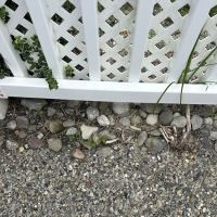 South Jersey Weed Control ico