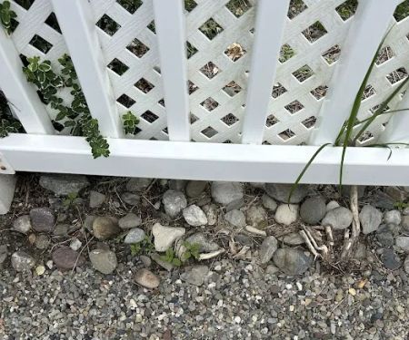 South Jersey Weed Control