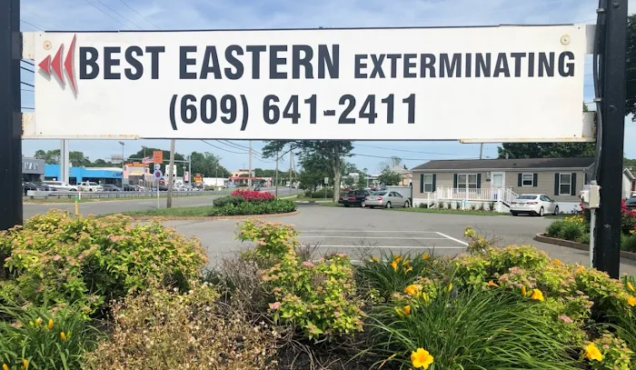 Best Eastern Exterminating Corporation Picture 8