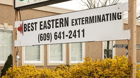 Best Eastern Exterminating Corporation Picture 1