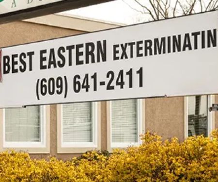 Best Eastern Exterminating Corporation