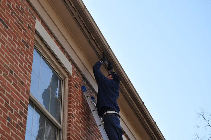 ELDER Pest Control Picture 3