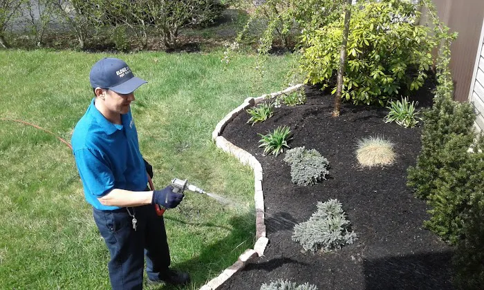 ELDER Pest Control Picture 7