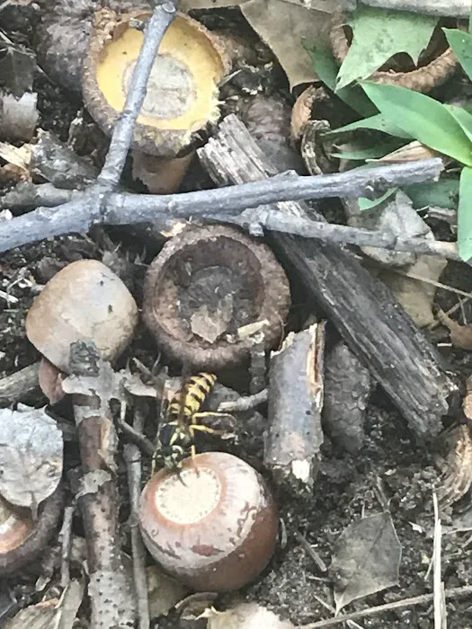 EcoFirst Pest Defense Picture 7