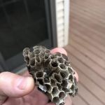 EcoFirst Pest Defense