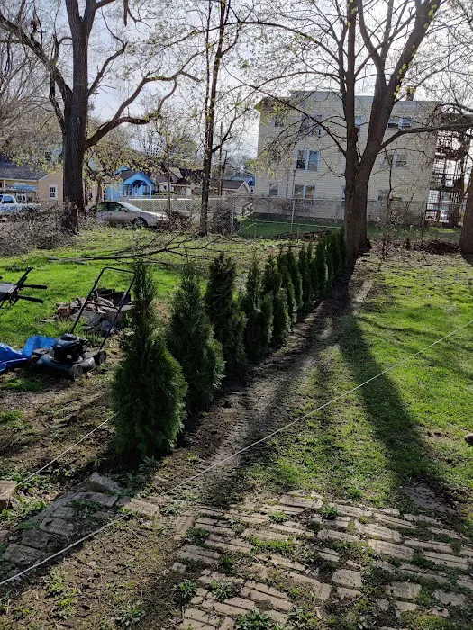 GroundUp LawnCare and Snow Removal Picture 4