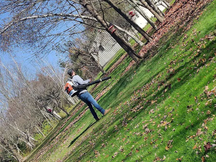 GroundUp LawnCare and Snow Removal Picture 5