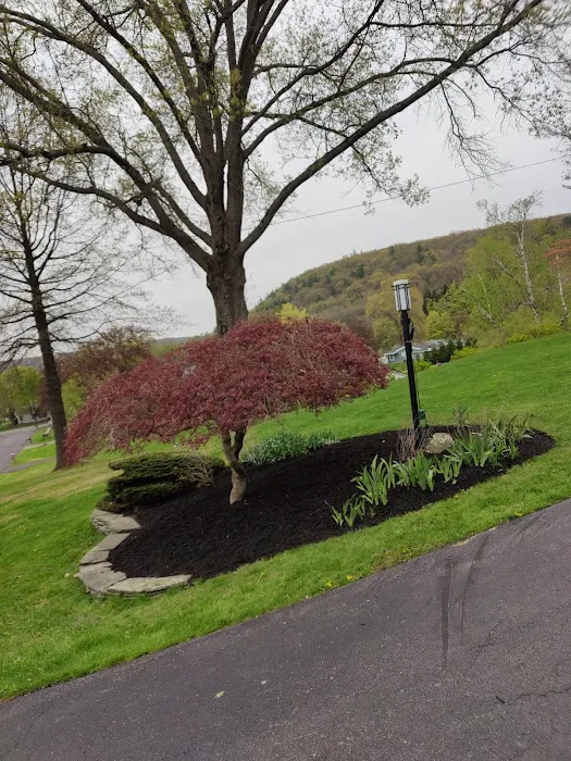 GroundUp LawnCare and Snow Removal Picture 10