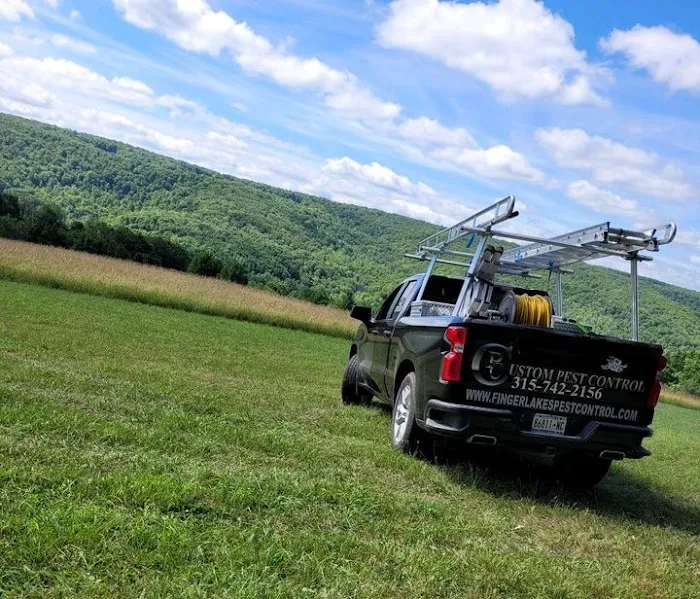 Custom Pest Control - Yates County NY Picture 2
