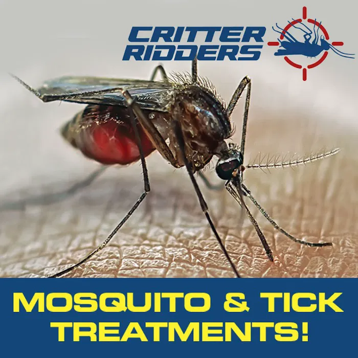 Critter Ridders Picture 7