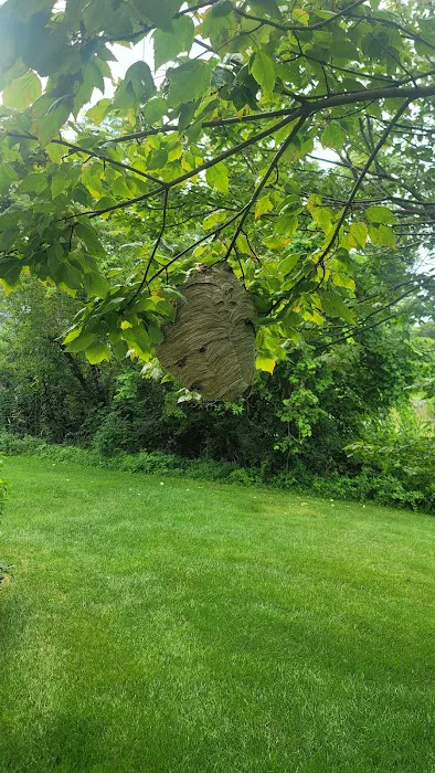 Runnin'Bugz Pest Solutions Picture 5