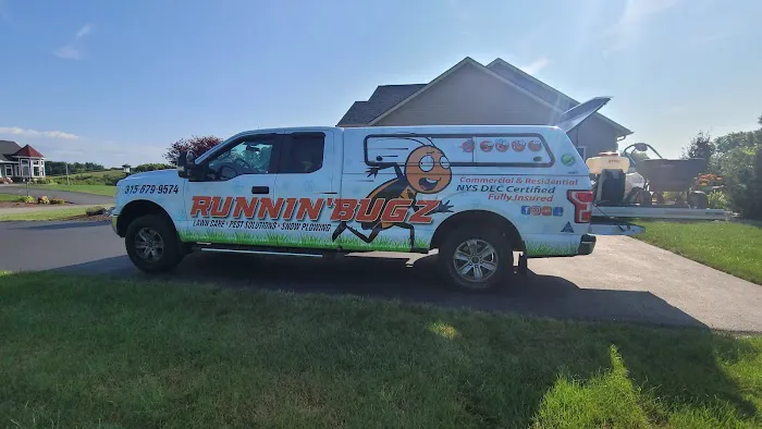 Runnin'Bugz Pest Solutions Picture 8
