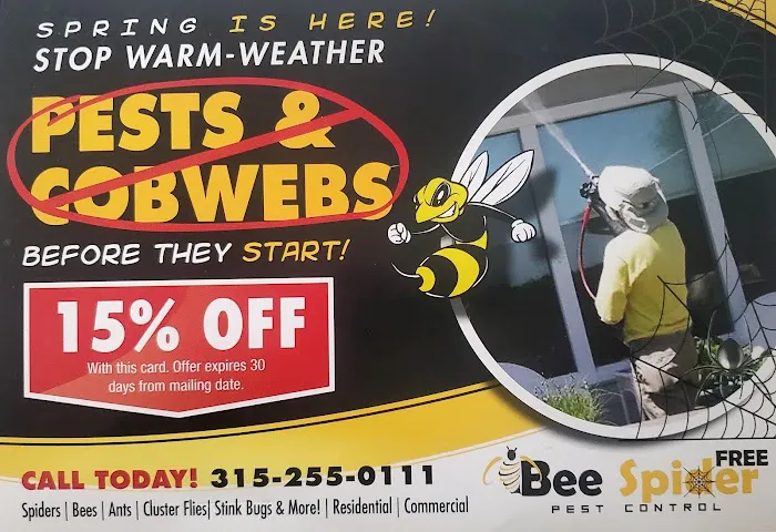 Bee Spider Free Picture 4
