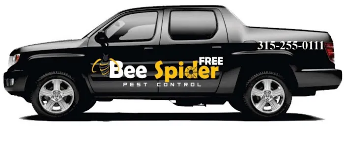 Bee Spider Free Picture 1