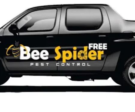 Bee Spider Free