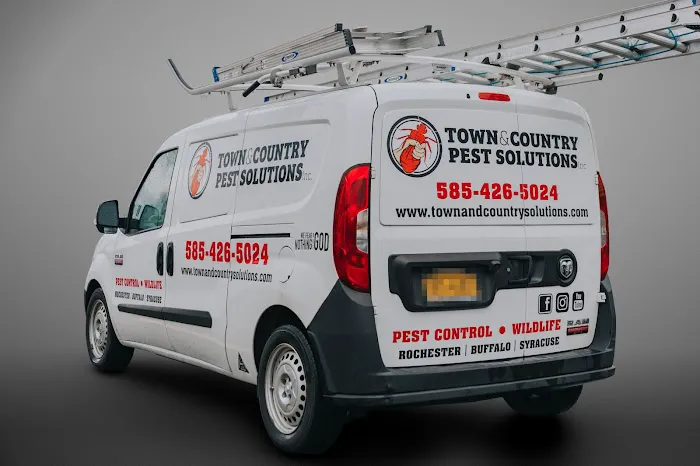 Town & Country Pest Solutions inc Picture 7