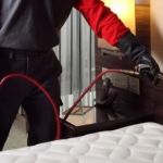 A1 Bed Bug Exterminator Syracuse