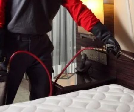 A1 Bed Bug Exterminator Syracuse