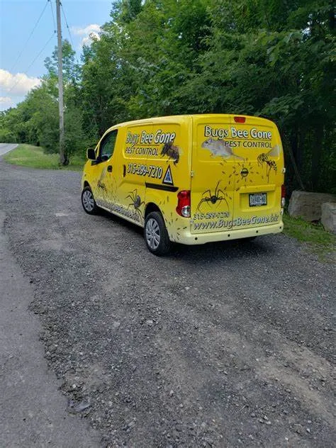 Bugs Bee Gone Pest Control Picture 9