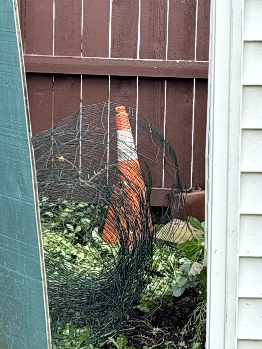 Gannon Pest Control Picture 5