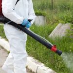 Pestech Pest Solutions