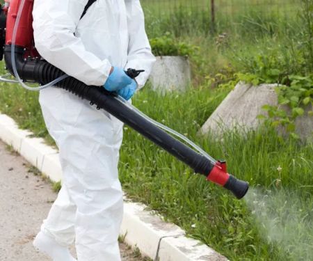 Pestech Pest Solutions