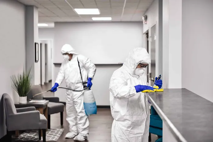 Pestech Pest Solutions Picture 2