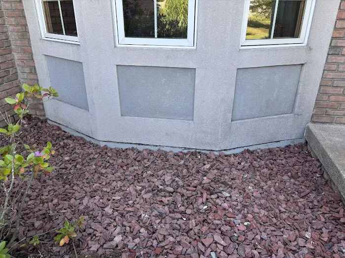 Meerkat Pest Control Picture 8