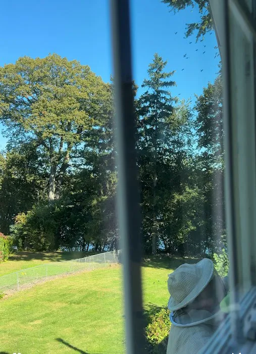 Gamelli's Pest Solutions Picture 9