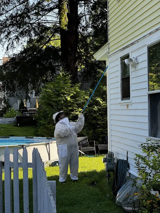 Gamelli's Pest Solutions Picture 4