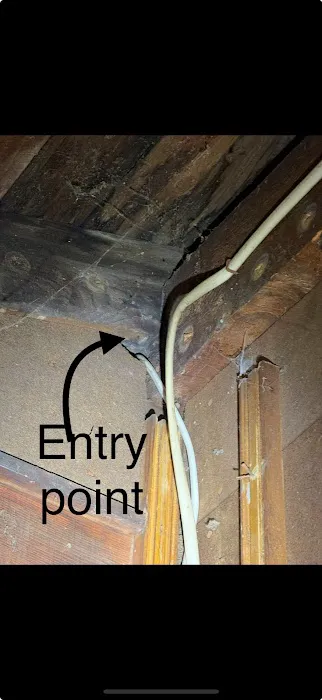 Gamelli's Pest Solutions Picture 6