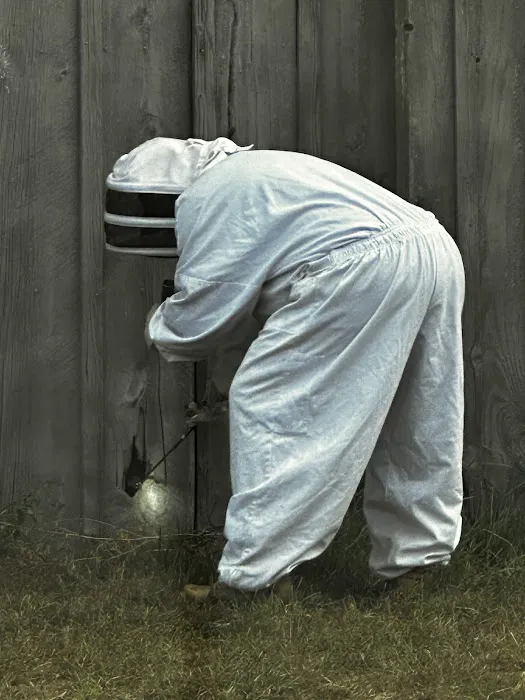 Braman Termite & Pest Elimination Picture 2