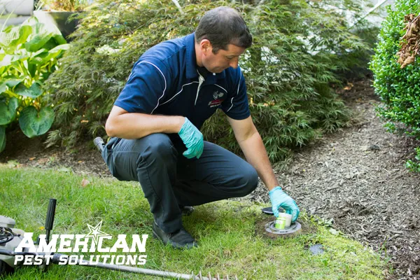 American Pest Solutions Picture 9
