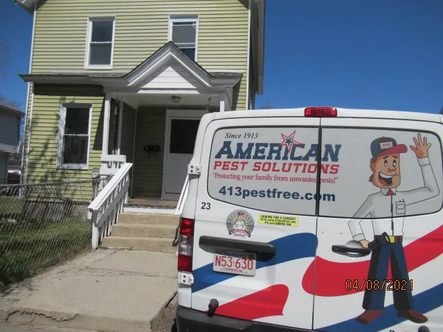 American Pest Solutions Picture 6
